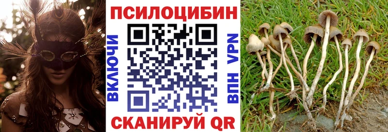 Галлюциногенные грибы Magic Shrooms  закладка  Рязань 