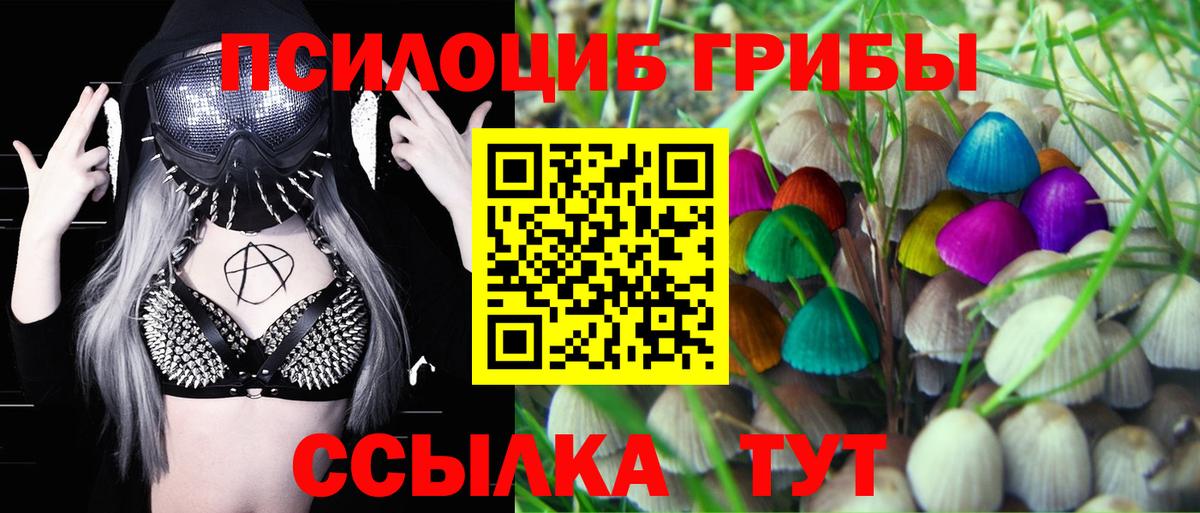 Галлюциногенные грибы MAGIC MUSHROOMS  Галлюциногенные грибы GOLDEN TEACHER  Вход с VPN  Рязань 